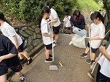 IMG_2396