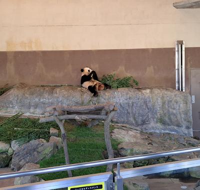 1FEDE7AE-D023-4461-8492-714462058869