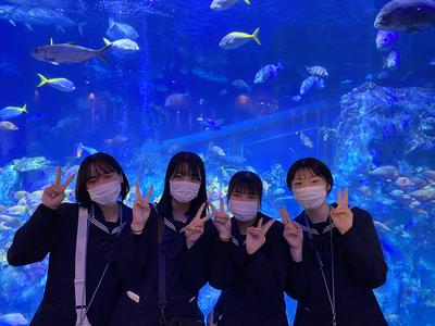 49DF0995-5D4A-4CF4-BAD6-507B935E7E0A